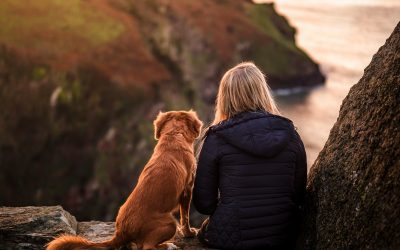 woman in black jacket sitting beside brown dog on rock near body of water during daytime